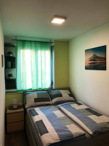 a bed in a room with a window and a bed sidx sidx sidx at Apartman Anja in Karlovac