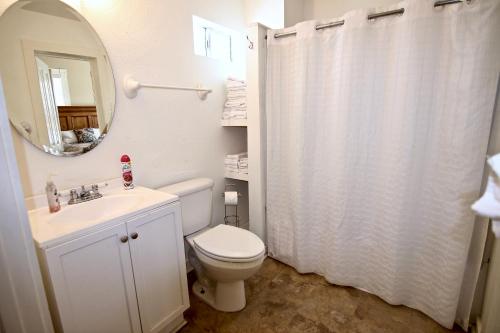 W łazience znajduje się toaleta, umywalka i lustro. w obiekcie Roses Haus w mieście New Braunfels
