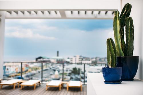 Μπαλκόνι ή βεράντα στο Asbury Ocean Club Hotel