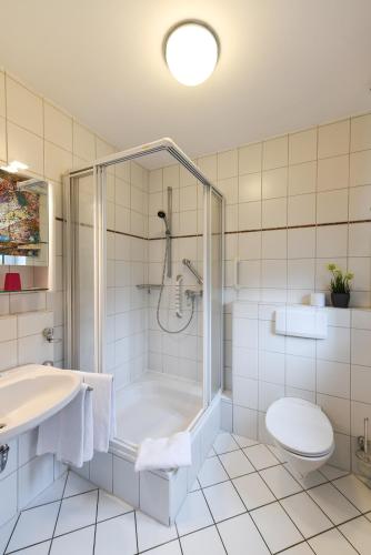 a bathroom with a shower and a toilet and a sink at Gasthof Kolb in Bayreuth