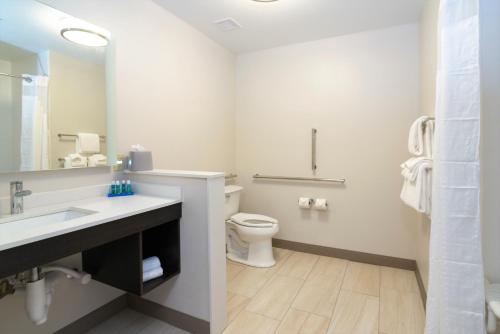 a bathroom with a toilet and a sink and a mirror at Holiday Inn Express & Suites Allen Park by IHG in Allen Park