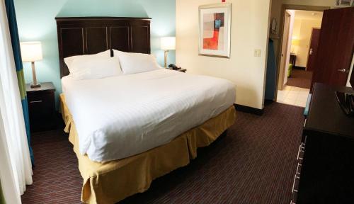 a bedroom with a large bed in a hotel room at Holiday Inn Express Hotel & Suites Gainesville by IHG in Gainesville