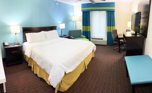 a hotel room with a large bed and a desk at Holiday Inn Express Hotel & Suites Gainesville by IHG in Gainesville