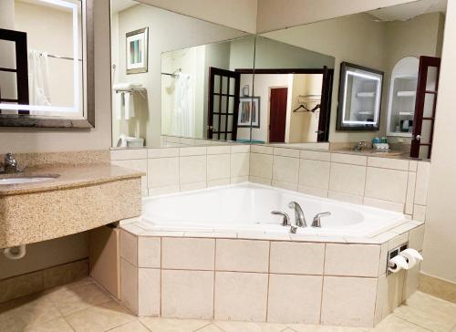 a large bathroom with a tub and a sink at Holiday Inn Express Hotel & Suites Gainesville by IHG in Gainesville
