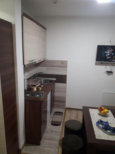 Η κουζίνα ή μικρή κουζίνα στο Apartmani Nikola u vili Semeteš