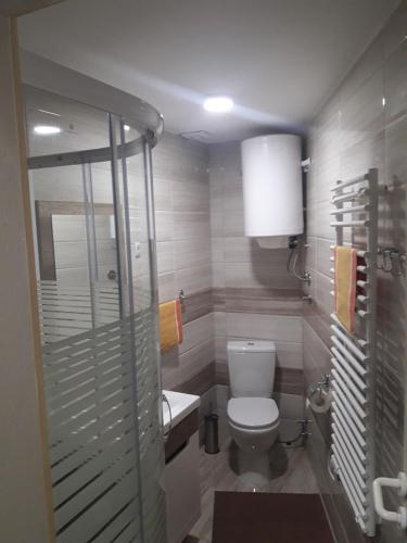 Ένα μπάνιο στο Apartmani Nikola u vili Semeteš