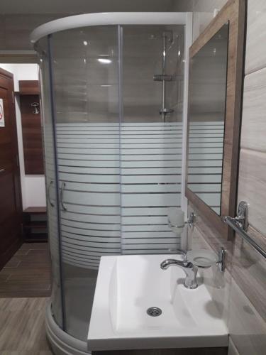 Ένα μπάνιο στο Apartmani Nikola u vili Semeteš