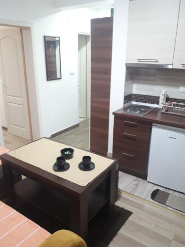 Η κουζίνα ή μικρή κουζίνα στο Apartmani Nikola u vili Semeteš