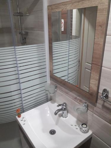 Ένα μπάνιο στο Apartmani Nikola u vili Semeteš