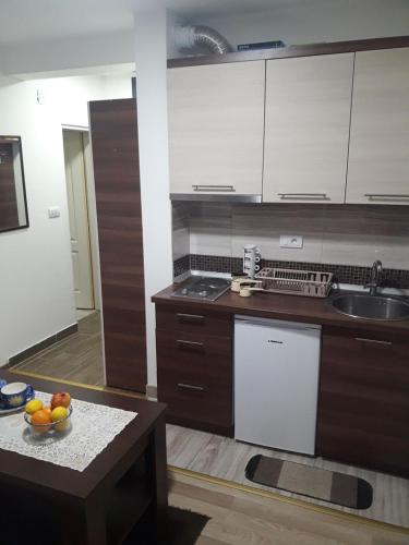 Η κουζίνα ή μικρή κουζίνα στο Apartmani Nikola u vili Semeteš