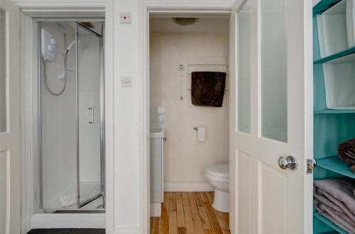 a bathroom with a toilet and a walk in shower at The Shop By Treetop Property in Cirencester