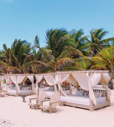 a row of chairs on a beach with palm trees at Alquimia Hotel Boutique in Tulum