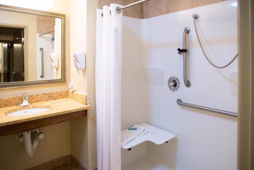 a bathroom with a sink and a shower at Holiday Inn Express Devils Lake, an IHG Hotel in Devils Lake