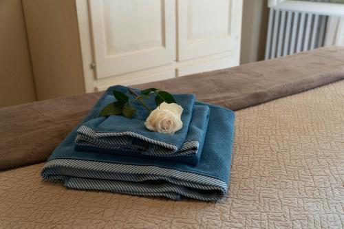 Φωτογραφία από το άλμπουμ του Beauty Case intimate, quiet and central apartment στη Μπολόνια