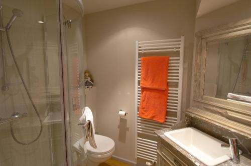 een badkamer met een douche, een toilet en een wastafel bij Abeljano in Hasselt