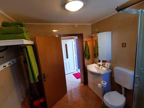 un piccolo bagno con un water e un lavandino di Apartments Ivan a Vir (Puntadura)