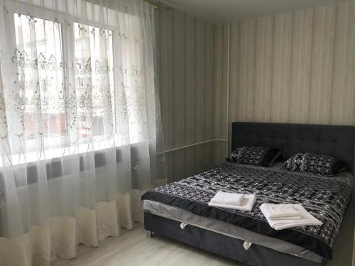 een slaapkamer met een bed met gordijnen en een raam bij Уютная Квартира в центре in Chernihiv