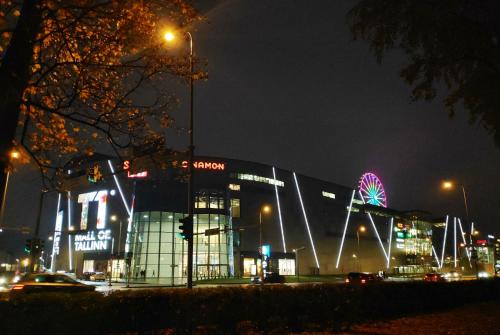 a large building with a ferris wheel at night at Majaka Apartment in Tallinn