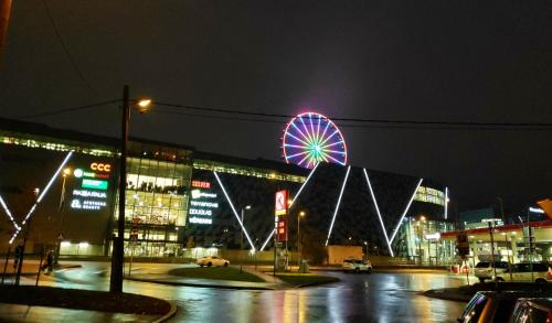 a ferris wheel in a city at night at Majaka Apartment in Tallinn