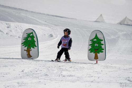 a child on skis in the snow with two christmas trees at Kinderbauernhof in Schoppernau