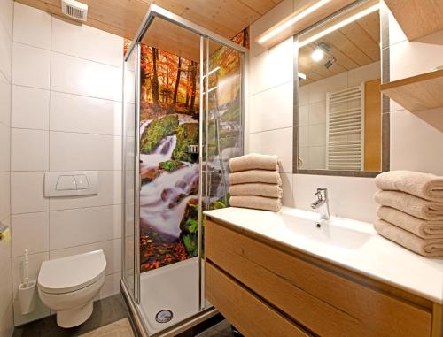 a bathroom with a shower and a sink and a toilet at Kinderbauernhof in Schoppernau