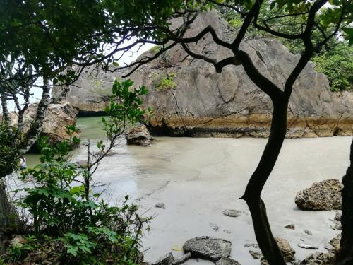 a body of water with rocks and a tree at Cashew Nut Bungalow, Ko Mook in Koh Mook