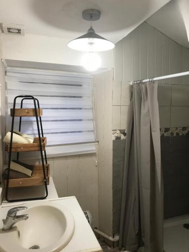 une salle de bain avec un lavabo et une douche dans l'établissement APPARTEMENT AVEC GARAGE CENTRE HISTORIQUE DE BÉZIERS, à Béziers