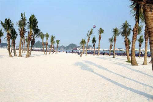 una playa con palmeras y gente en ella en Hai Trang Hotel, en Ha Long