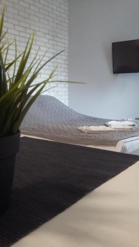 een woonkamer met een zwart tapijt en een plant bij ActivTower Apartament in Katowice