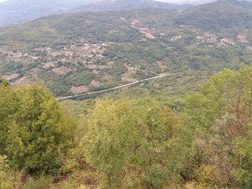 a view of a mountain with trees and a road at Casa Vacanze del Pollino in Fardella