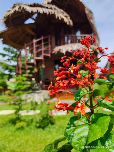 a plant with red flowers in front of a house at Green Travelodge Bukit Lawang in Bukit Lawang