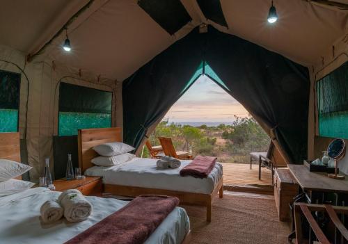 Shamwari Explorer Camp – Photos 3