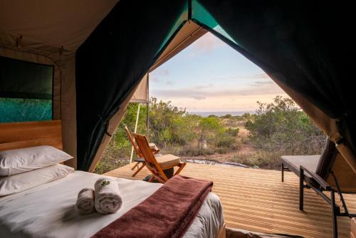 Shamwari Explorer Camp – Photos 4