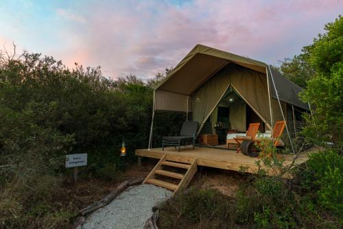 Shamwari Explorer Camp – Photos 5