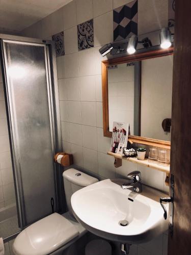 a bathroom with a toilet and a sink and a shower at Le Coin Savoyard in Combloux