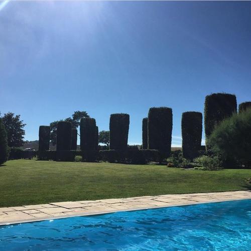 a swimming pool in front of a row of trees at Chambres d'hôtes Les Templiers in Rugney