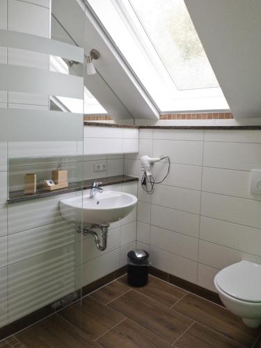 a bathroom with a toilet and a sink and a skylight at Lehdsche Heubuchten in Lehde