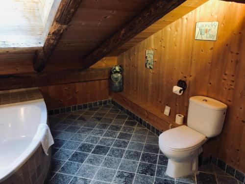 a bathroom with a toilet and a bath tub at Le Coin Savoyard in Combloux