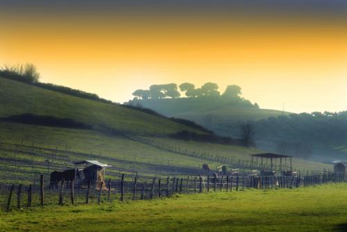 a group of horses in a field with a fence at Tenuta Agricola Fonte Di Papa in Monterotondo