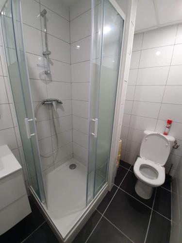 a bathroom with a toilet and a glass shower at CHARMANT PETIT F1 in Tain-lʼHermitage