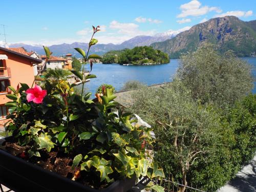 a flower in a pot on a balcony overlooking a lake at Liza's Suite's - Room's with a View in Sala Comacina