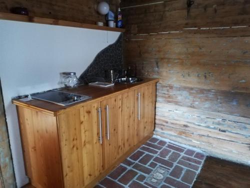 ein Badezimmer mit einem Waschbecken und einer Holzwand in der Unterkunft Ferienwohnung Winklschuster in Metnitz