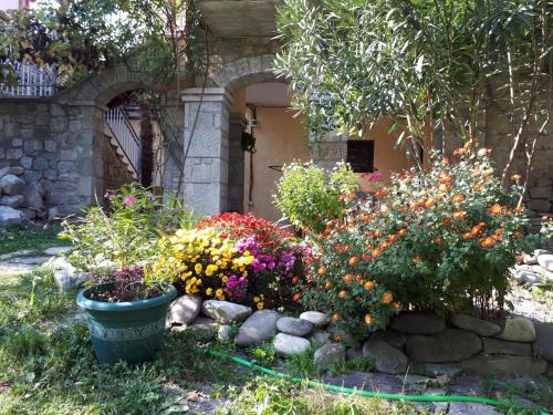 Imagen de la galería de Old house apartment with Garden area, en Mtskheta