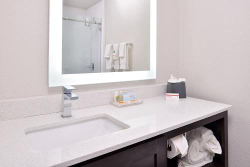 a bathroom with a sink and a mirror at Holiday Inn and Suites Addison, an IHG Hotel in Addison