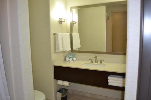 Ein Badezimmer in der Unterkunft Holiday Inn Express Hotel and Suites Duncan by IHG