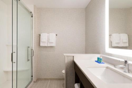 een badkamer met een wastafel en een douche bij Holiday Inn Express & Suites - Cincinnati NE - Red Bank Road, an IHG Hotel in Cincinnati