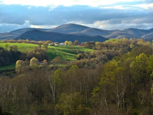 a green field with trees and mountains in the background at Heartstone Country Retreat in Buena Vista