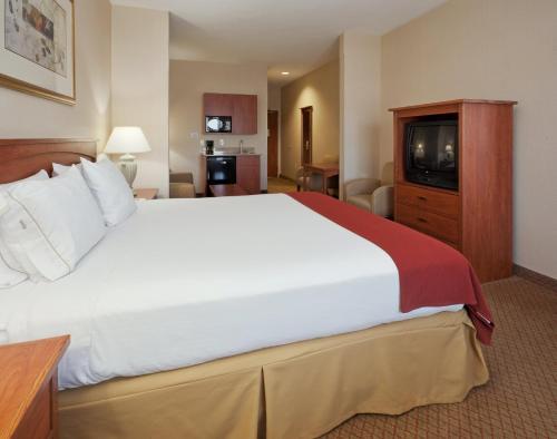 Holiday Inn Express Hotel & Suites Carson City, an IHG Hotel