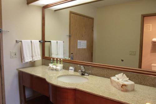 a bathroom with a sink and a large mirror at Holiday Inn Express Corning, an IHG Hotel in Corning