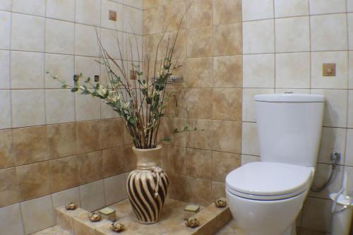 łazienka z toaletą i wazą z rośliną w obiekcie AELIA HOME w mieście Synikia Mesi Trikalon